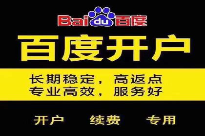 百度竞价包年案例：实现高效广告投放